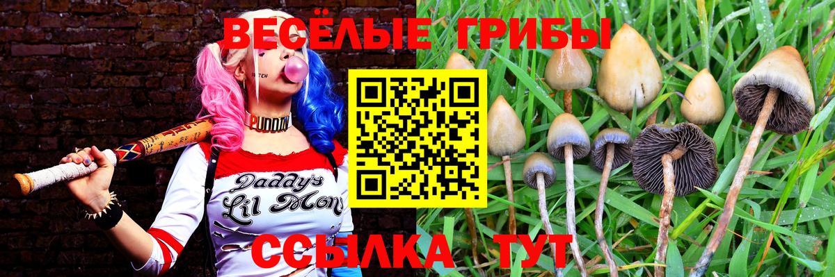Красноярск  Галлюциногенные грибы GOLDEN TEACHER  Вход с VPN 
