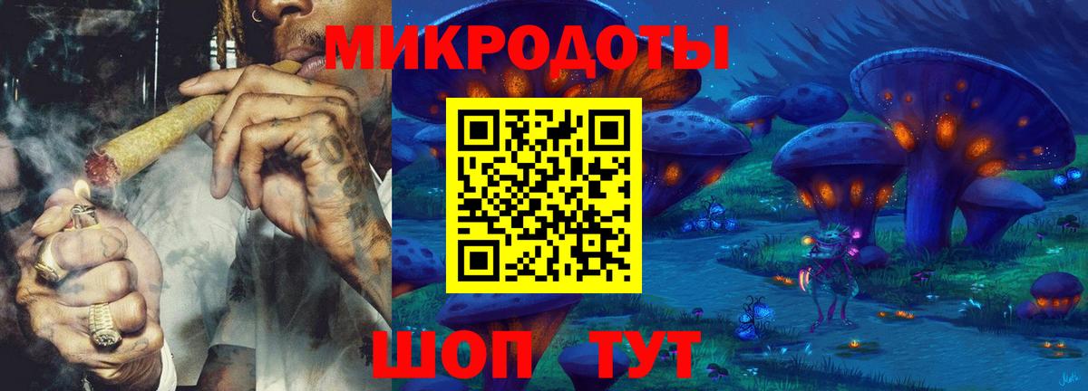 Псилоцибиновые грибы Cubensis Красноярск